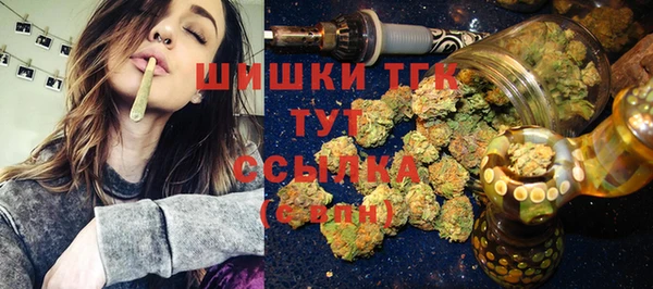 тгк Алексин