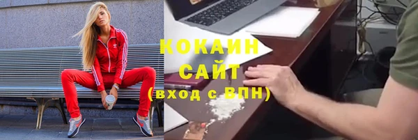 тгк Алексин