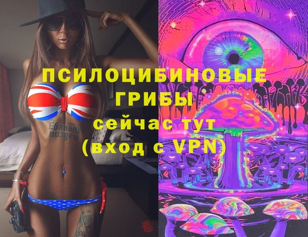 тгк Алексин